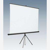 3M Ultra Portable Tripod Screen TS175