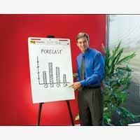 3M PostIt Meeting Chart 559 W635xH775mm