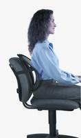 Fellowes Mesh Back Support Black 8036501