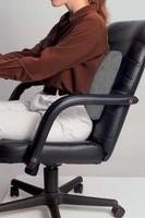 Fellowes High Profile Back Rest 91926