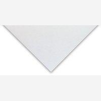 Blotting Paper White H/Demy 445x285 Pk25