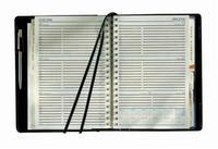 Elite Compact Diary WTV 2010 Blk 1150V