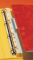 Pelltech File Strips 295mm Pk100 25120
