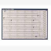 Sasco Year Planner 2010 Mounted 2400448